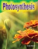 Photosynthesis (Grade 3) (Paperback) - Torrey Maloof Photo