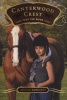 Take the Reins (Paperback, Original) - Jessica Burkhart Photo