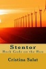 Stentor - Rock Gods on the Run (Paperback) - Cristina Salat Photo