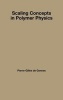 Scaling Concepts in Polymer Physics (Hardcover) - Pierre Gilles de Gennes Photo