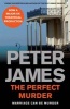 The Perfect Murder (Paperback, New edition) - Peter James Photo