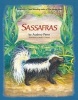 Sassafras (Hardcover) - Audrey Penn Photo