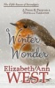 A Winter Wonder - A Pride and Prejudice Novella Variation (Paperback) - Elizabeth Ann West Photo