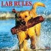 Lab Rules Wall (Calendar) - Willow Creek Press Photo