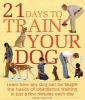 21 Days to Train Your Dog - Learn How Any Dog Can Be Taught the Basics of Obedience Training in Just a Few Minutes Each Day (Paperback) - Colin Tennant Photo