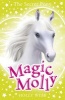 Magic Molly: The Secret Pony (Paperback, 2nd Revised edition) - Holly Webb Photo