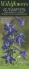 Wildflowers of Yellowstone & Grand Teton National Parks - A Guide to Common & Notable Species (Poster) - William R Gray Photo