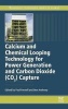 Calcium and Chemical Looping Technology for Power Generation and Carbon Dioxide (Co2) Capture - Solid Oxygen- and CO2-carriers (Hardcover) - Paul Fennell Photo