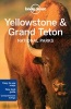  Yellowstone & Grand Teton National Parks (Paperback, 4th Revised edition) - Lonely Planet Photo