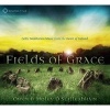 Fields of Grace - Celtic Meditation Music from the Heart of Ireland (CD) - Owen O Suilleabhain Photo