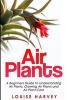 Air Plants - A Beginners Guide to Understanding Air Plants, Growing Air Plants and Air Plant Care (Booklet) (Paperback) - Louise Harvey Photo