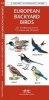 European Backyard Birds - A Folding Pocket Guide to Familiar Species (Pamphlet) - James Kavanagh Photo