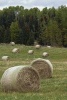 A Field of Hay in Idaho - Blank 150 Page Lined Journal for Your Thoughts, Ideas, and Inspiration (Paperback) - Unique Journal Photo