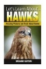 Hawks - Amazing Pictures and Facts about Hawks (Paperback) - Breanne Sartori Photo