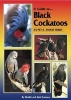 A Guide to Black Cockatoos as Pet and Aviary Birds (Paperback) - Neville Connors Photo