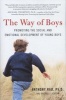 The Way of Boys - Promoting the Social and Emotional Development of Young Boys (Paperback) - Anthony Rao Photo