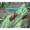 About Insects / Sobre Los Insectos - A Guide for Children / Una Guia Para Nios (English, Spanish, Paperback) - Cathryn Sill Photo