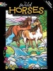 Wild Horses Stained Glass Coloring Book (Paperback) - Marty Noble Photo