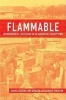 Flammable - Environmental Suffering in an Argentine Shantytown (Paperback) - Javier Auyero Photo