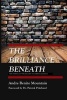 The Brilliance Beneath - The Power of Perspective in Urban Schools (Paperback) - Andre Benito Mountain Photo