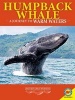 Humpback Whales - A Journey to Warm Waters (Paperback) - L E Carmichael Photo