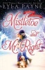 Mistletoe and Mr. Right - Two Stories of Holiday Romance (Paperback) - Lyla Payne Photo