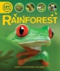 Life Cycles: Rainforest (Paperback) - Sean Callery Photo