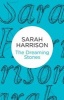 The Dreaming Stones (Paperback) - Sarah Harrison Photo