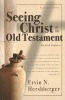 Seeing Christ in the Old Testament (Paperback, Expanded) - Ervin N Hershberger Photo