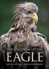 Kingdom of the Eagle (Hardcover) - Brutus Ostling Photo