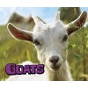 Goats (Hardcover) - Mira Vonne Photo