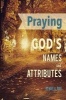 Praying God's Names and Attributes - A Devotional (Paperback) - Mary N Ryan Photo