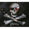 Pirates (Hardcover) - John Matthews Photo