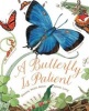 A Butterfly is Patient (Paperback) - Dianna Hutts Aston Photo