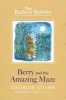 Berry and the Amazing Maze, Book 12 (Paperback) - Georgie Adams Photo