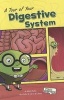 A Tour of Your Digestive System (Paperback) - Molly Kolpin Photo