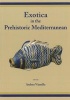 Exotica in the Prehistoric Mediterranean (Paperback) - Andrea Vianello Photo