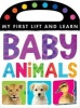 My First Lift and Learn: Baby Animals (Novelty book) - Little Tiger Press Photo