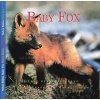 Baby Fox (Paperback) - Aubrey Lang Photo