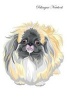 Pekingese Notebook Record Journal, Diary, Special Memories, to Do List, Academic Notepad, and Much More (Paperback) - Pet Care Inc Photo