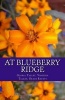 At Blueberry Ridge - Friendship Through Trials (Paperback) - Gloria Talle Lake Superior Publishing Photo