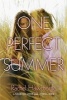 One Perfect Summer - Labor of Love and Thrill Ride (Paperback) - Rachel Hawthorne Photo