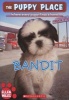 Bandit (Paperback) - Ellen Miles Photo