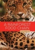 A Rainforest Food Chain (Paperback) - A D Tarbox Photo