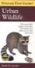 Peterson First Guide to Urban Wildlife (Paperback) - Sarah Landry Photo