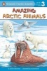 Amazing Arctic Animals (Paperback) - Jackie Glassman Photo