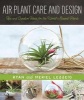 Air Plant Care and Design - Tips and Creative Ideas for the World's Easiest Plants (Paperback) - Ryan Lesseig Photo