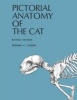 Pictorial Anatomy of the Cat 1975 (Paperback, Revised edition) - Stephen G Gilbert Photo