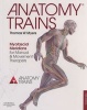 Anatomy Trains - Myofascial Meridians for Manual and Movement Therapists (Paperback, 3rd Revised edition) - Thomas W Myers Photo