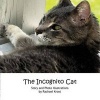 The Incognito Cat (Paperback) - Rachael Kroot Photo